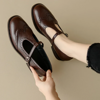 Vivian | Women's T-Strap Mary Jane Shoes Low Block Heel Buckle